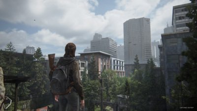 the last of us part ii remastered skyline