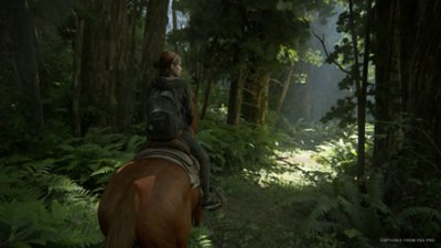 The Last of Us Part II – Screenshot