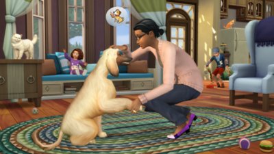 Tierliebe-Bundle – Bildschirmfoto eines Charakters, der mit einem Hund spielt.
