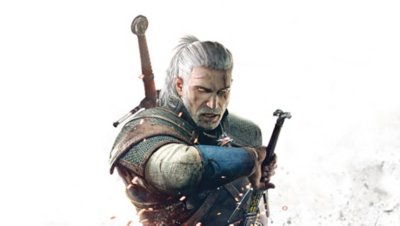 The Witcher 3 Wild Hunt