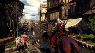 The witcher 3 аккаунт стим фото 77