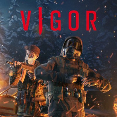 Vigor