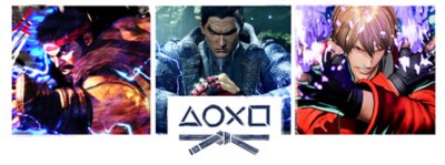 PlayStationシェイプスがついた空手帯