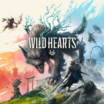 Wild Hearts – Packshot