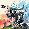 Wild Hearts – Store-Artwork