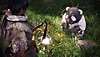 Captura de tela de Wo Long: Fallen Dynasty mostrando o jogador encontrando Shitieshou, uma espécie de panda fofinho